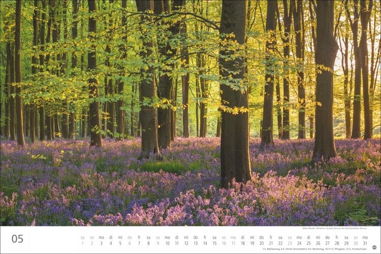 Produktbild: Wunderwelt Wald 2027