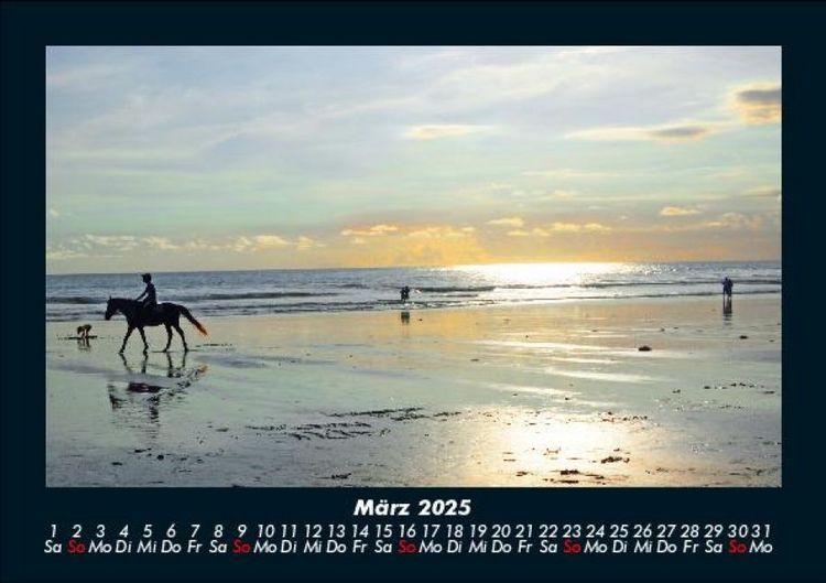 Produktbild: Die Welt der Pferde 2025 Fotokalender DIN A5