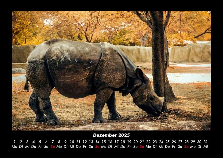 Produktbild: Tiere in der Wildnis 2025 Fotokalender DIN A3