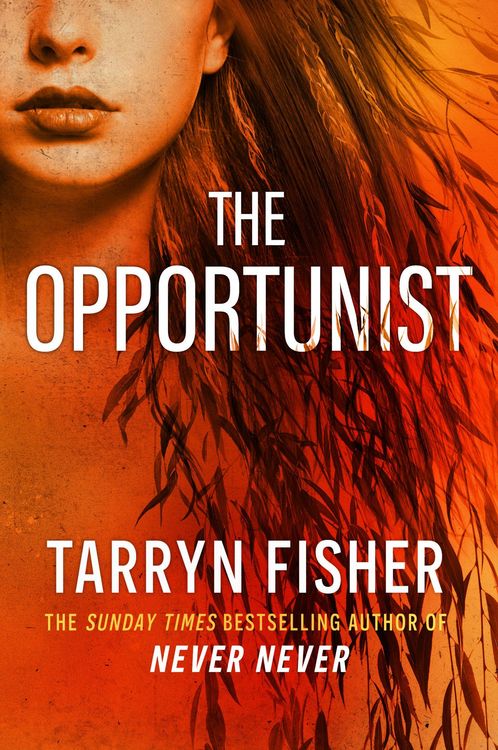 Produktbild: The Opportunist