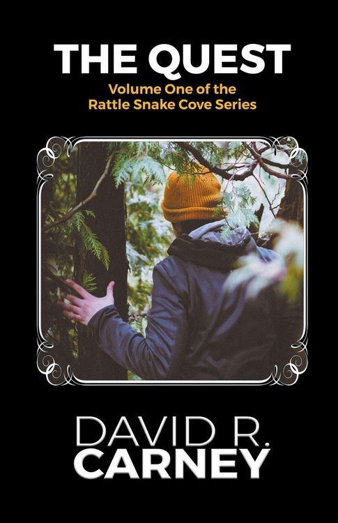 Produktbild: The Quest Rattle Snake Cove Print Series