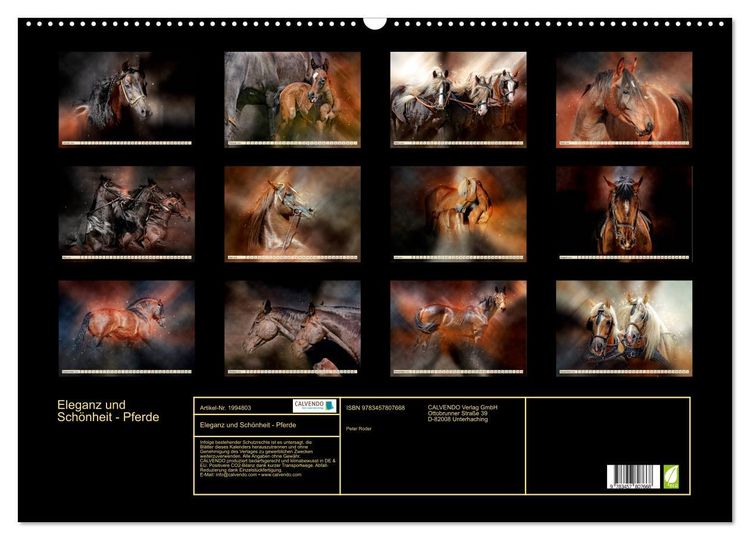 Produktbild: Eleganz und Sch&ouml;nheit - Pferde (Wandkalender 2026 DIN A2 quer), CALVENDO Monatskalender