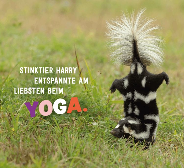 Produktbild: Tierisch gechillt!