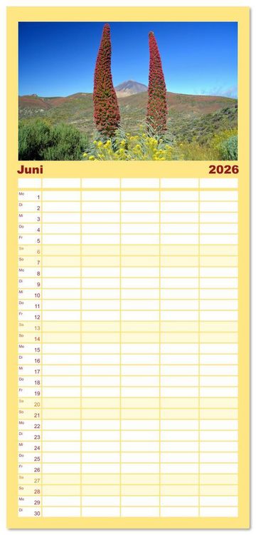 Produktbild: Familienplaner 2026 - Teneriffa - Insel der Gl&uuml;ckseligen mit 5 Spalten (Wandkalender, 21 x 45 cm) CALVENDO