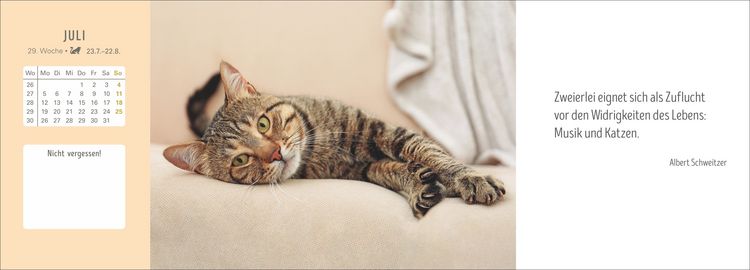 Produktbild: Katzen Premium-Tischplaner 2027 - Der literarische Wochenkalender mit Zitaten