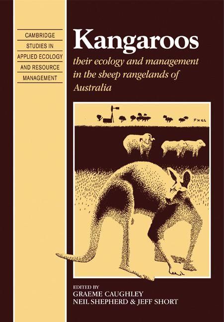 Produktbild: Kangaroos