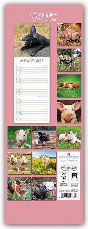 Produktbild: Cute Piggies &ndash; S&uuml;&szlig;e kleine Schweinchen &ndash; Slimline-Kalender 2027
