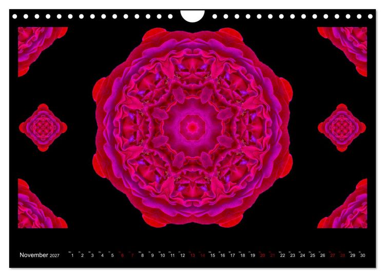 Produktbild: ROSEN MANDALAS (Wandkalender 2027 DIN A4 quer), CALVENDO Monatskalender