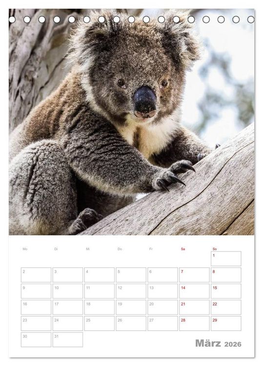 Produktbild: g'day Australien 2026 (Tischkalender 2026 DIN A5 hoch), CALVENDO Monatskalender