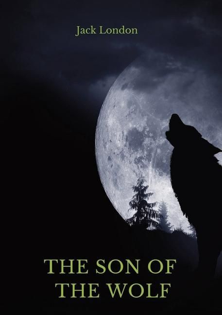 Produktbild: The Son of the Wolf