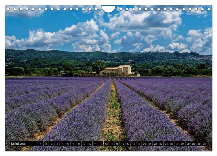 Produktbild: Un &eacute;t&eacute; en Provence dans le Luberon (Calendrier mural 2026 DIN A4 vertical), CALVENDO calendrier mensuel