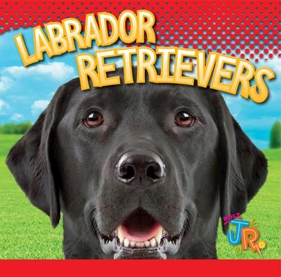 Produktbild: Labrador Retrievers