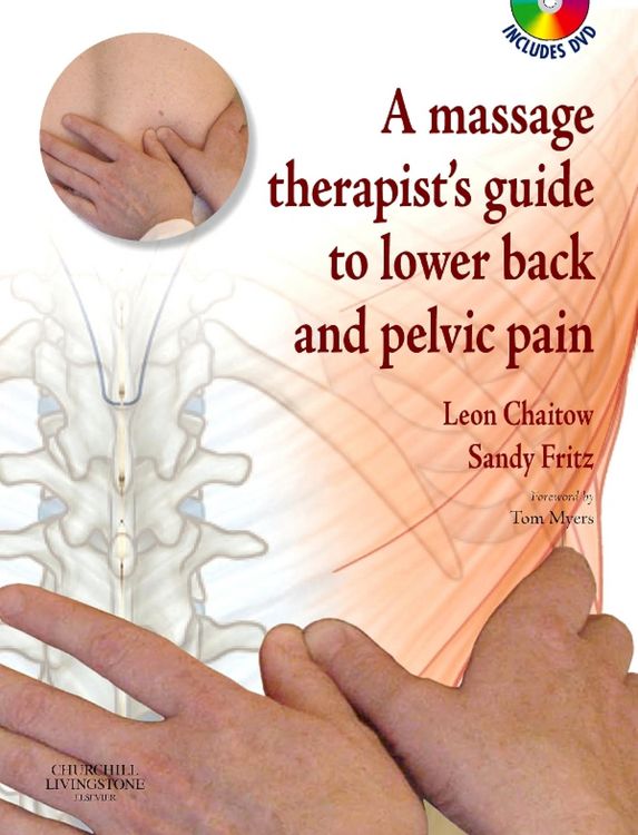 Produktbild: A Massage Therapist's Guide to Lower Back & Pelvic Pain E-Book