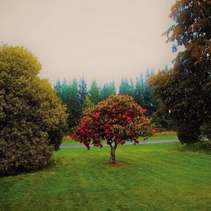 Produktbild: Foothills