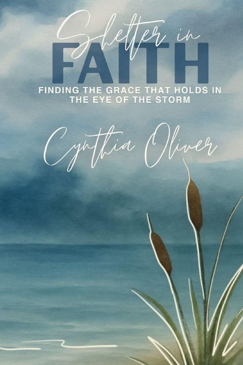 Produktbild: Shelter In Faith