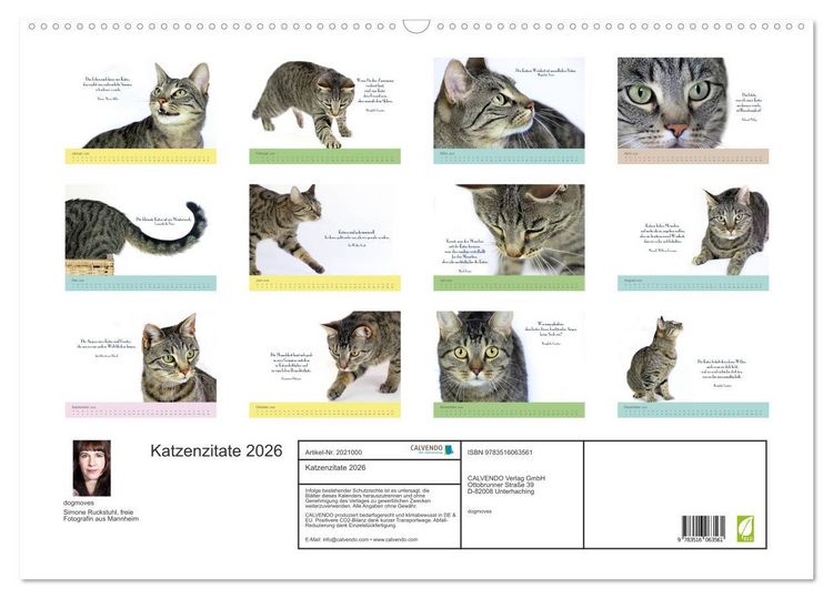 Produktbild: Katzenzitate 2026 (Wandkalender 2026 DIN A2 quer), CALVENDO Monatskalender