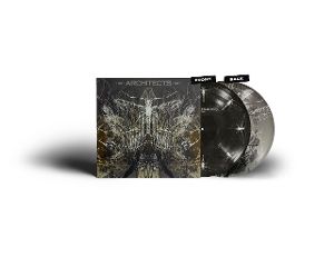 Produktbild: Ruin (Picture LP)