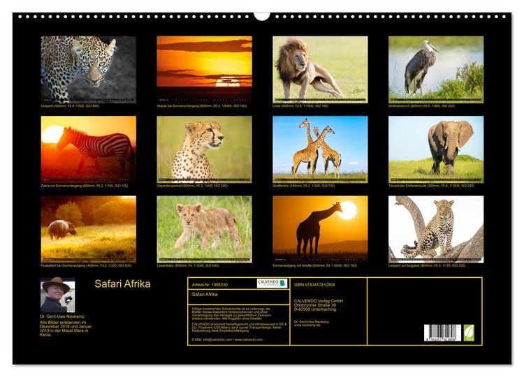 Produktbild: Safari Afrika (Wandkalender 2026 DIN A2 quer), CALVENDO Monatskalender
