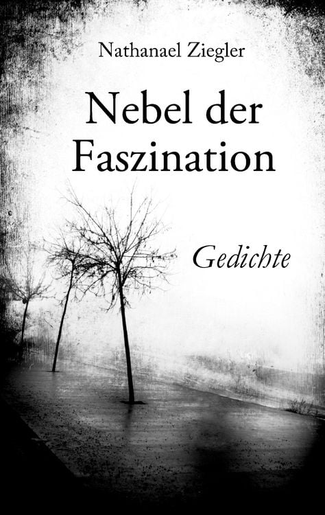 Produktbild: Nebel der Faszination