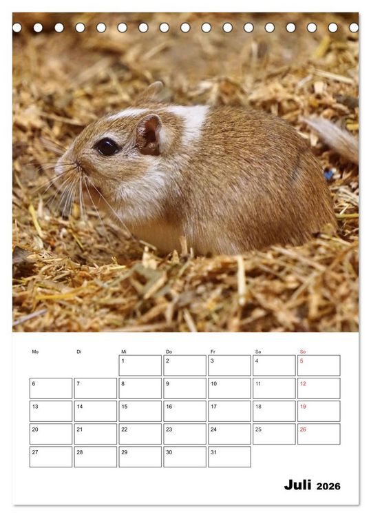 Produktbild: Lustige Rennm&auml;use (Tischkalender 2026 DIN A5 hoch), CALVENDO Monatskalender