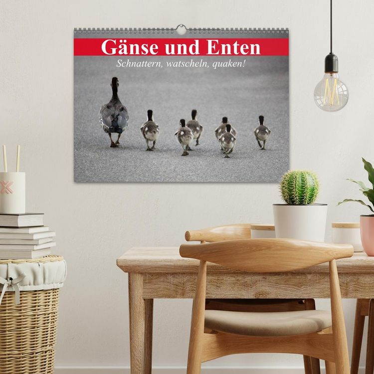 Produktbild: G&auml;nse und Enten. Schnattern, watscheln, quaken! (Wandkalender 2026 DIN A3 quer), CALVENDO Monatskalender