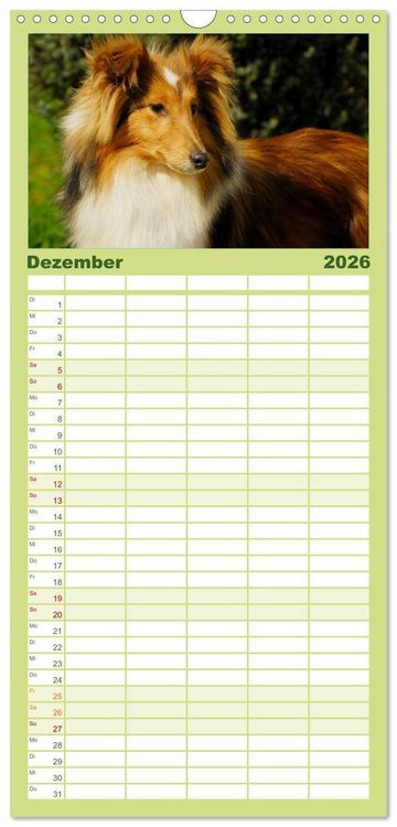 Produktbild: Familienplaner 2026 - Sheltie 2026 mit 5 Spalten (Wandkalender, 21 x 45 cm) CALVENDO