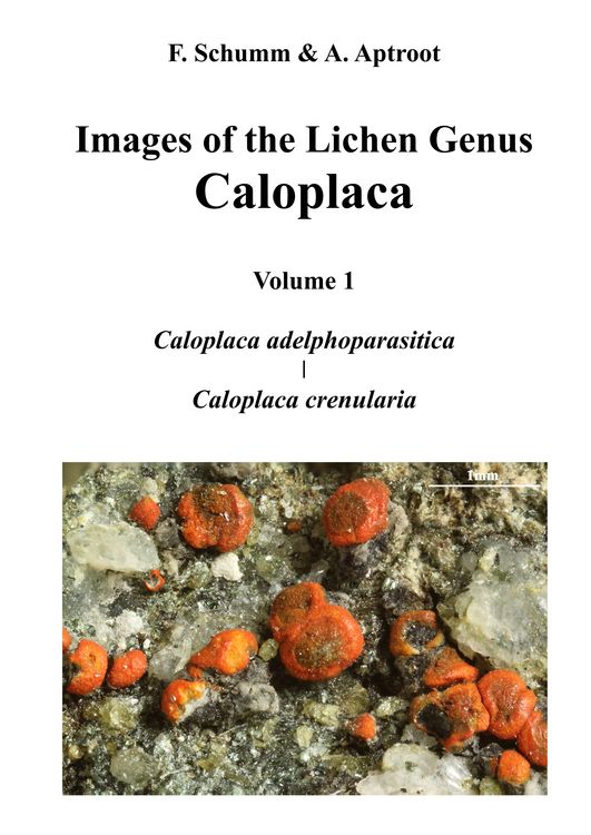 Produktbild: Images of the Lichen Genus Caloplaca, Vol 1