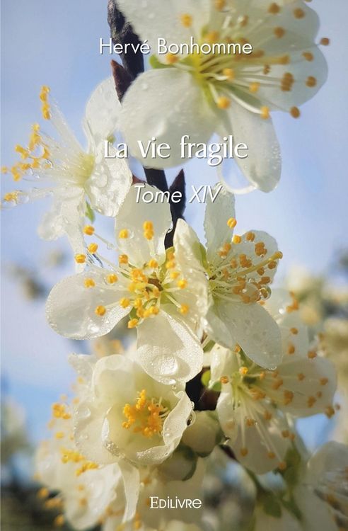 Produktbild: La vie fragile - tome 14