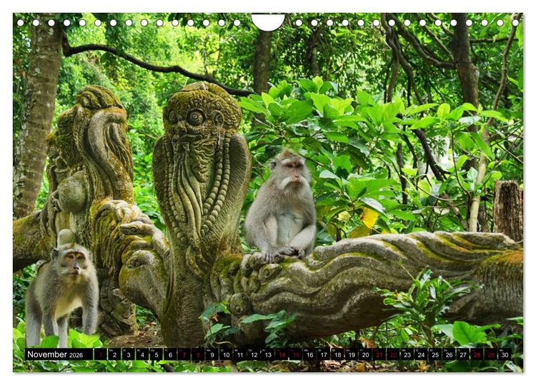 Produktbild: Bali. Im Reich der G&ouml;tter (Wandkalender 2026 DIN A4 quer), CALVENDO Monatskalender