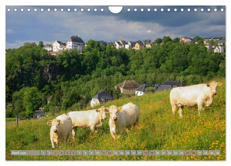 Produktbild: Burgen in Deutschland (Wandkalender 2026 DIN A4 quer), CALVENDO Monatskalender