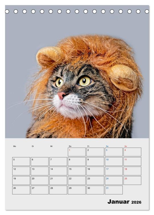 Produktbild: Crazy Catz. (Tischkalender 2026 DIN A5 hoch), CALVENDO Monatskalender