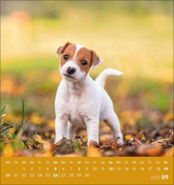 Produktbild: Hunde 2027