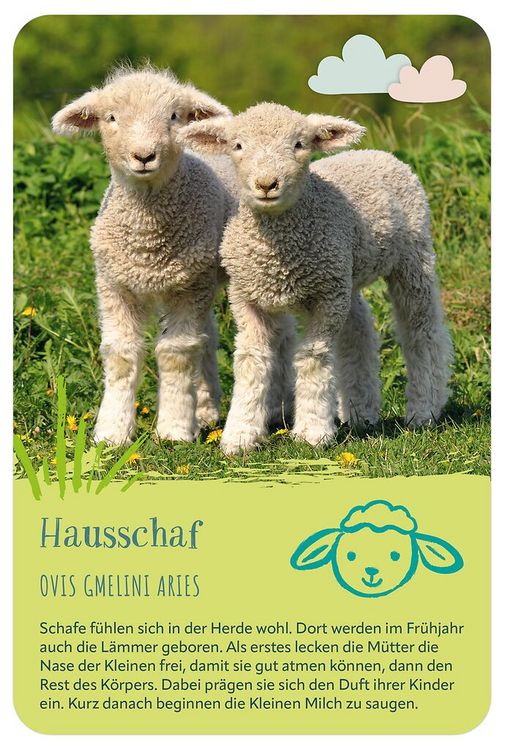 Produktbild: Die 100 s&uuml;&szlig;esten Tierbabys