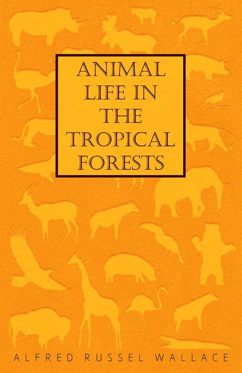 Produktbild: Animal Life in the Tropical Forests