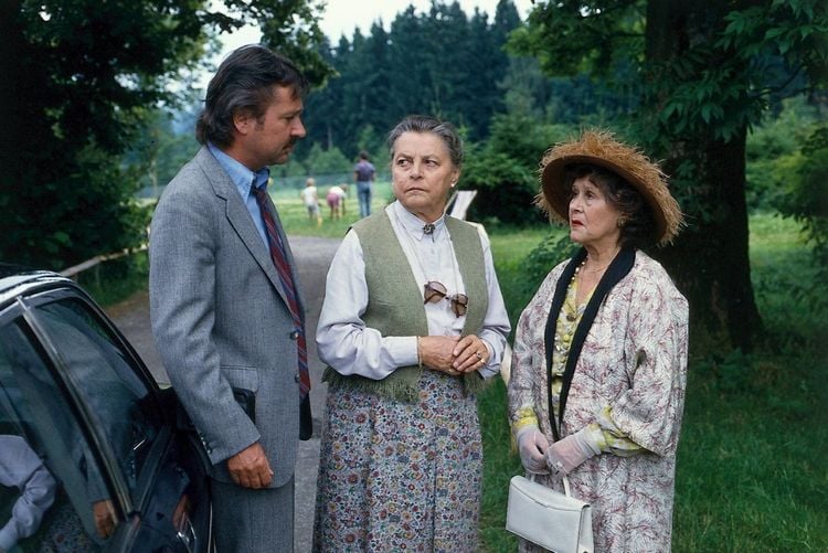 Produktbild: Waldhaus - Die komplette ZDF-Serie in 18 Teilen (Fernsehjuwelen) [6 DVDs]