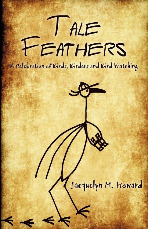 Produktbild: Tale Feathers