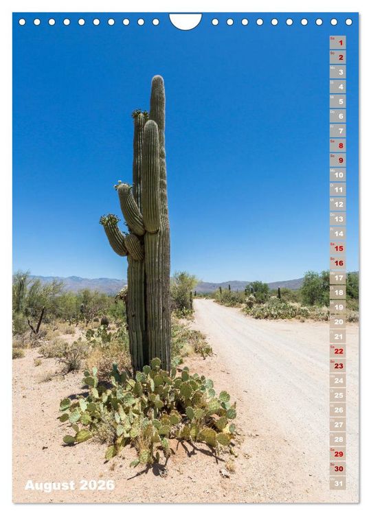 Produktbild: SAGUARO NATIONAL PARK W&uuml;stenimpressionen aus Arizona (Wandkalender 2026 DIN A4 hoch), CALVENDO Monatskalender