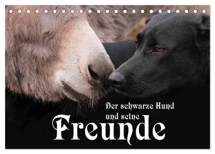 Produktbild: Der schwarze Hund und seine Freunde (Tischkalender 2026 DIN A5 quer), CALVENDO Monatskalender