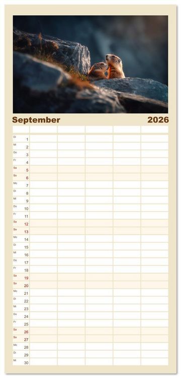 Produktbild: Familienplaner 2026 - Alpenpl&uuml;sch - Mit Murmeltieren durchs Jahr mit 5 Spalten (Wandkalender, 21 x 45 cm) CALVENDO