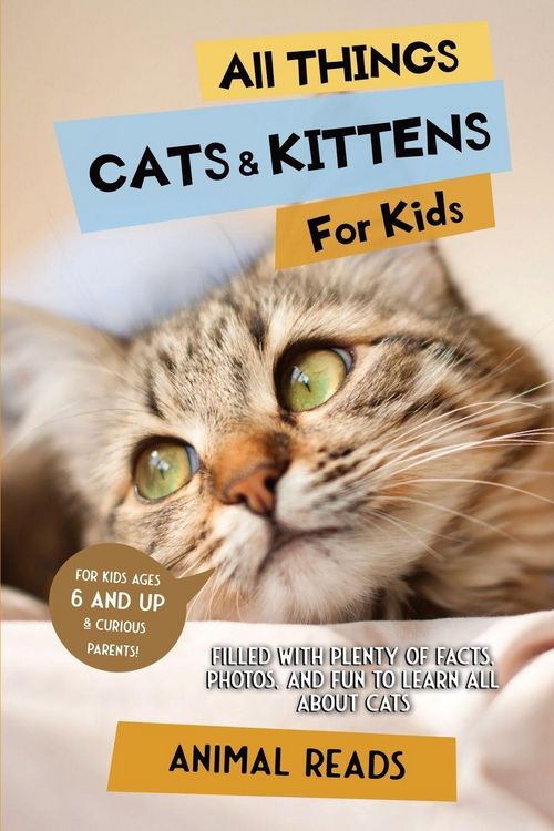 Produktbild: All Things Cats & Kittens For Kids