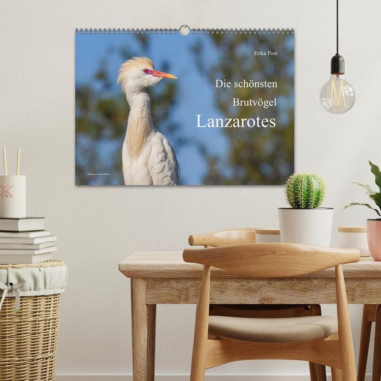 Produktbild: Die sch&ouml;nsten Brutv&ouml;gel Lanzarotes (Wandkalender 2027 DIN A3 quer), CALVENDO Monatskalender