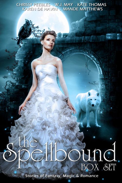 Produktbild: The Spellbound Box Set: 8 Fantasy stories including Vampires, Werewolves, Steam Punk, Magic, Romance, Blood Feuds, Alphas, Medieval Queens, Celtic Myt