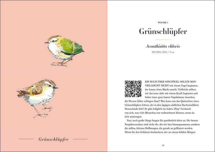 Produktbild: Der Gesang der V&ouml;gel