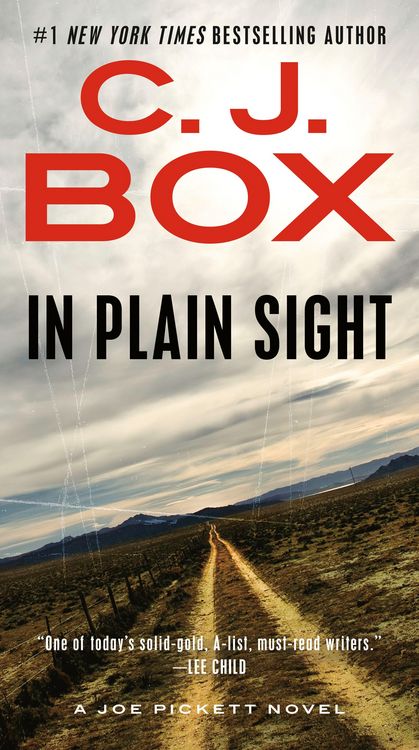 Produktbild: In Plain Sight
