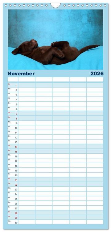 Produktbild: Familienplaner 2026 - S&uuml;&szlig;e Tr&auml;ume 2026 - schlafende Hundewelpen mit 5 Spalten (Wandkalender, 21 x 45 cm) CALVENDO