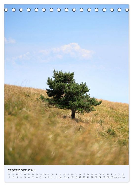 Produktbild: Arbres solitaires (Calendrier de bureau 2026 DIN A5 horizontal), CALVENDO calendrier mensuel