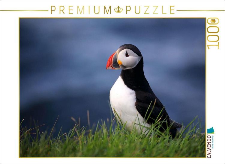 Produktbild: CALVENDO Puzzle das Meer im Herzen | 1000 Teile Lege-Gr&ouml;&szlig;e 64x48cm Foto-Puzzle f&uuml;r gl&uuml;ckliche Stunden