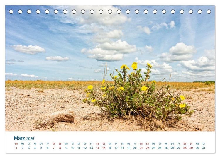 Produktbild: &Ouml;land - Schwedens Insel der Sonne und des Windes (Tischkalender 2026 DIN A5 quer), CALVENDO Monatskalender