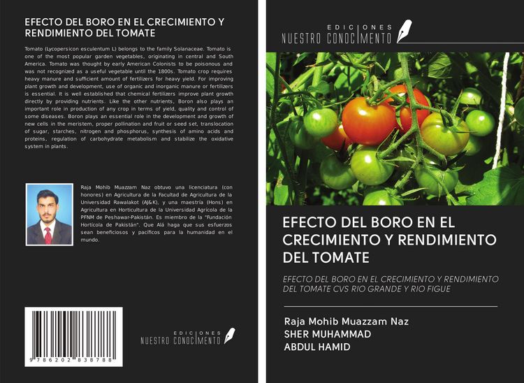 Produktbild: Efecto Del Boro En El Crecimiento Y Rendimiento Del Tomate