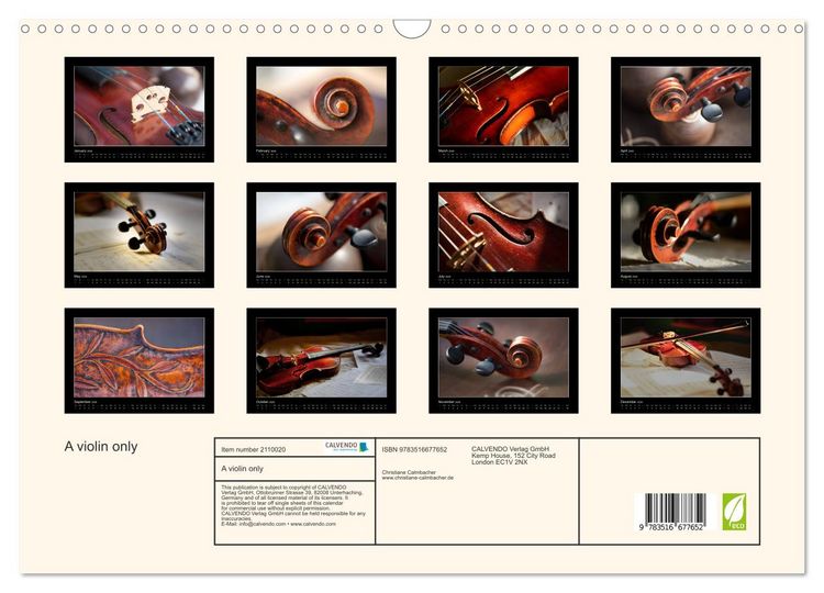 Produktbild: A violin only (Wall Calendar 2026 DIN A3 landscape), CALVENDO 12 Month Wall Calendar